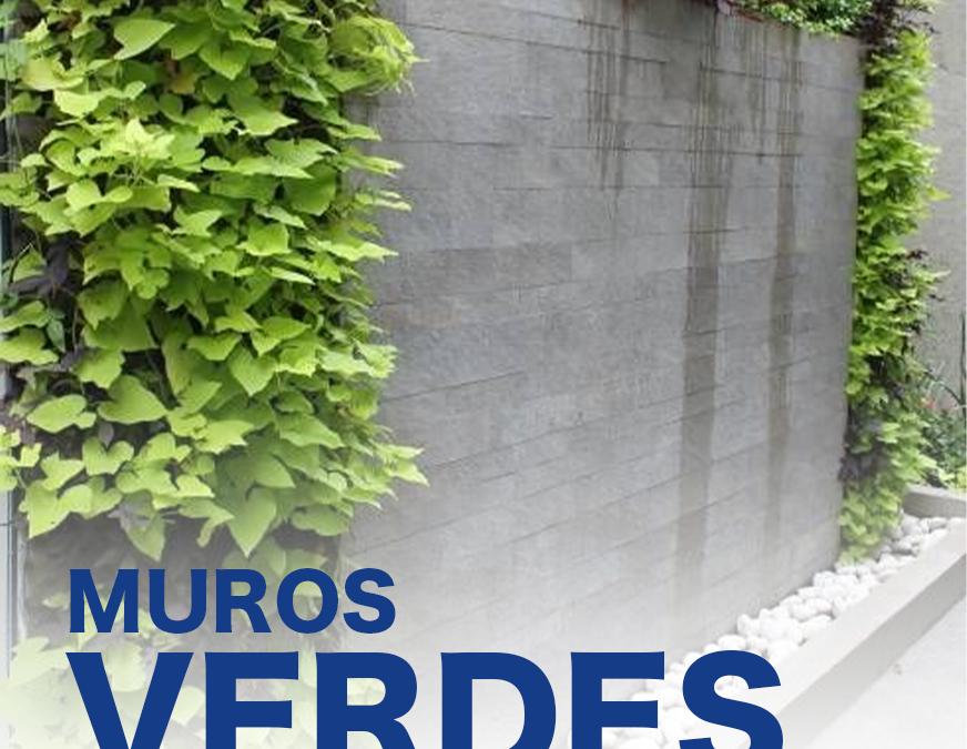 MURO VERDE